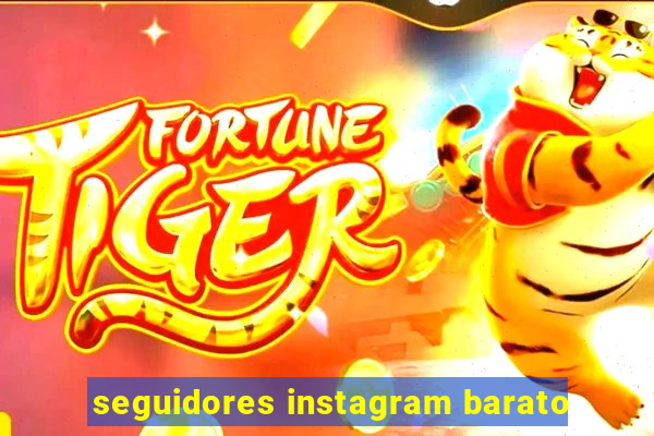 seguidores instagram barato