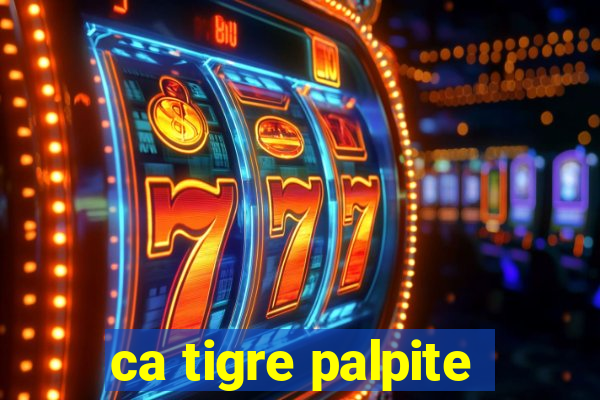 ca tigre palpite