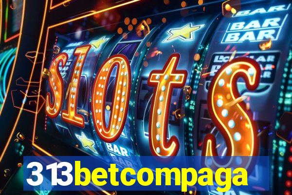 313betcompaga