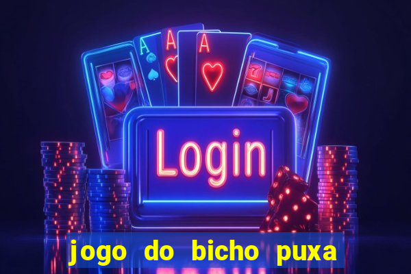 jogo do bicho puxa de dona maria