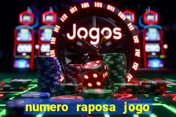 numero raposa jogo do bicho