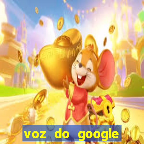 voz do google tradutor homem