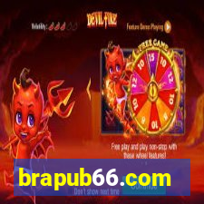 brapub66.com