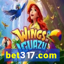 bet317.com